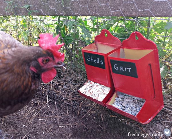 Comment construire un abreuvoir pour les poules ?