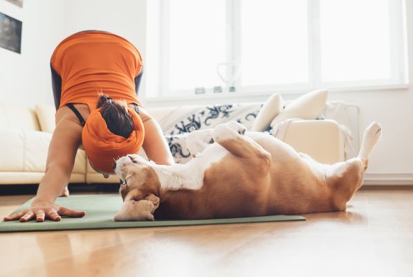 Faire du yoga avec son chien