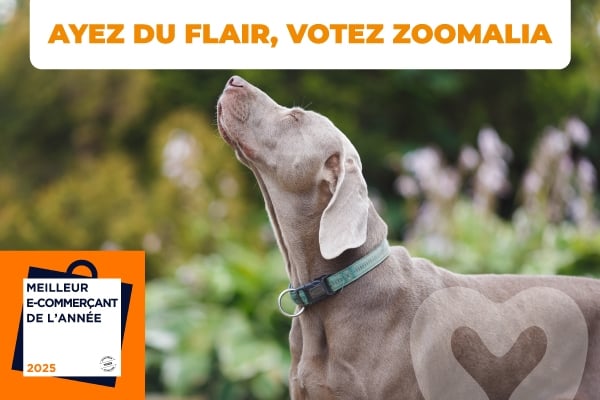 affiche concours chien qui a du flair : votez Zoomalia meilleur e-commerçant