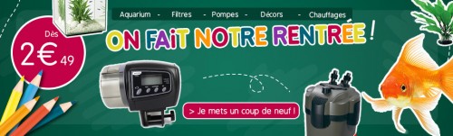 5-conseils-rentrée-des-animaux