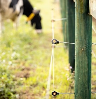 Quelle Clôture électrique pour Animaux de ferme ?