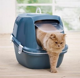 Toilette chiusa per gatti Milly PetUp - Grigio