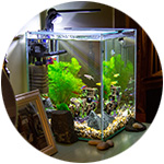 Outil de chauffage à détection intelligente pour petits aquariums,  chauffage précieux pour poissons, USB aste, thermostat d'aquarium le plus  récent