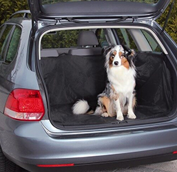 Bras de voiture siège pour chien lit de transport pour animaux de compagnie Console  centrale chenil de sécurité antidérapant pour fournitures d'extérieur