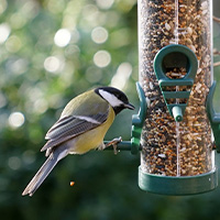 nourriture pour oiseaux du jardin