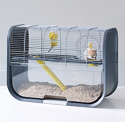 💥 Meilleures cages à hamster 2024 - guide d'achat et comparatif