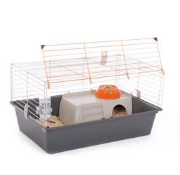 Accessoires cage lapin