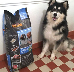 Trekker Memoriseren Gedateerd Belcando: compleet voer voor honden