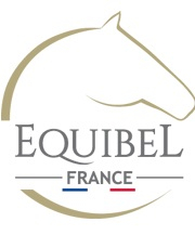 logo Equibel