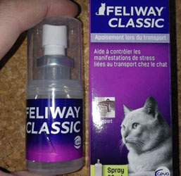 Feliway : Les phéromones pour le bien-être du chat