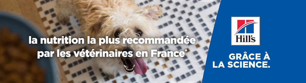 Merk Hill's: voeding aanbevolen door dierenartsen in Frankrijk