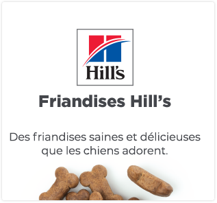 logo Hill's friandises