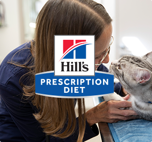 Logo Hill's Prescription Diet: un gato y su dueña