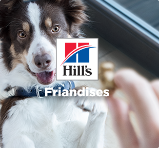 Logo Hill's Golosinas : perro que quiere su golosina Hill's