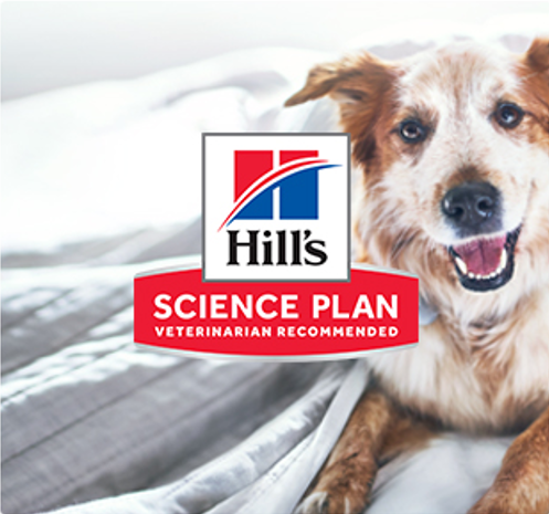 Visual de un perro con el logo Hill's Science Plan 