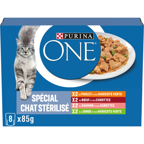 Avis Purina One Chat